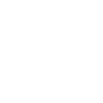 digital inspections 01.png